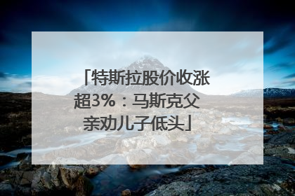 特斯拉股价收涨超3%：马斯克父亲劝儿子低头