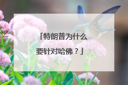 特朗普为什么要针对哈佛？
