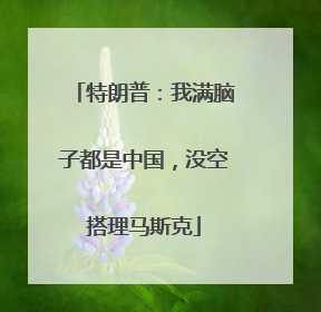 特朗普：我满脑子都是中国，没空搭理马斯克