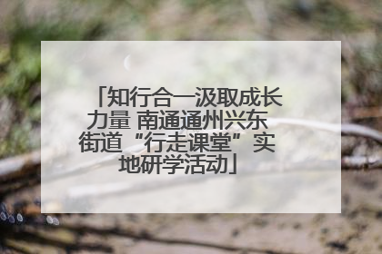 知行合一汲取成长力量 南通通州兴东街道“行走课堂”实地研学活动