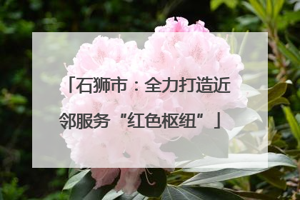 石狮市：全力打造近邻服务“红色枢纽”