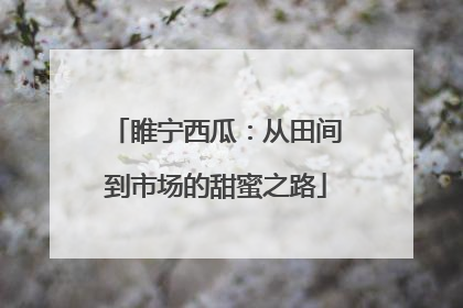 睢宁西瓜：从田间到市场的甜蜜之路