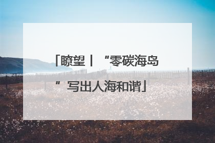瞭望丨“零碳海岛”写出人海和谐