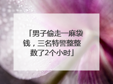 男子偷走一麻袋钱，三名特警整整数了2个小时