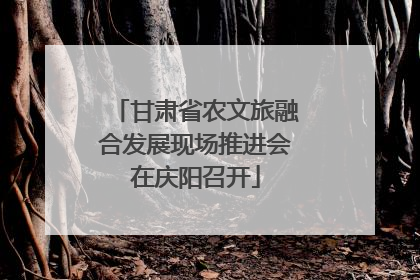 甘肃省农文旅融合发展现场推进会在庆阳召开