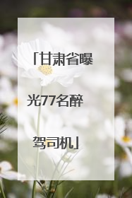 甘肃省曝光77名醉驾司机