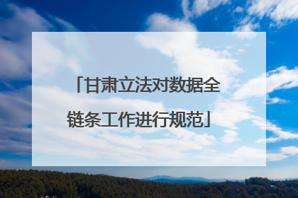 甘肃立法对数据全链条工作进行规范