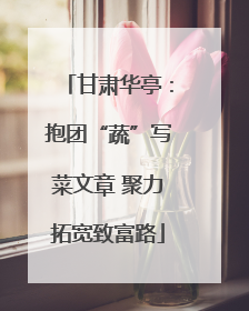 甘肃华亭：抱团“蔬”写菜文章 聚力拓宽致富路