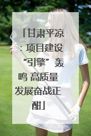 甘肃平凉：项目建设“引擎”轰鸣 高质量发展奋战正酣