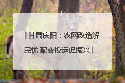 甘肃庆阳：农网改造解民忧 配变投运促振兴
