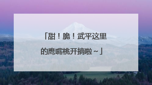 甜！脆！武平这里的鹰嘴桃开摘啦～