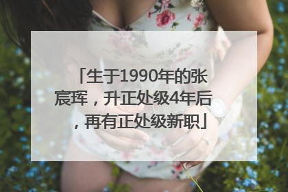 生于1990年的张宸珲，升正处级4年后，再有正处级新职