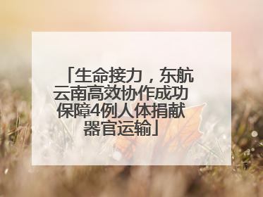 生命接力，东航云南高效协作成功保障4例人体捐献器官运输