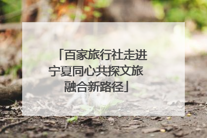 百家旅行社走进宁夏同心共探文旅融合新路径