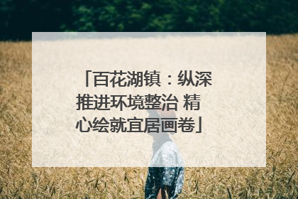 百花湖镇：纵深推进环境整治 精心绘就宜居画卷