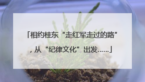 相约桂东“走红军走过的路”，从“纪律文化”出发……