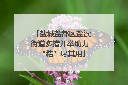 盐城盐都区盐渎街道多措并举助力“秸”尽其用