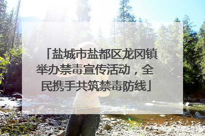 盐城市盐都区龙冈镇举办禁毒宣传活动，全民携手共筑禁毒防线