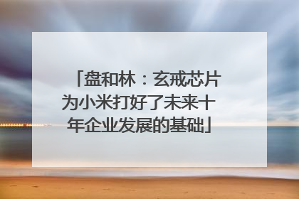 盘和林：玄戒芯片为小米打好了未来十年企业发展的基础