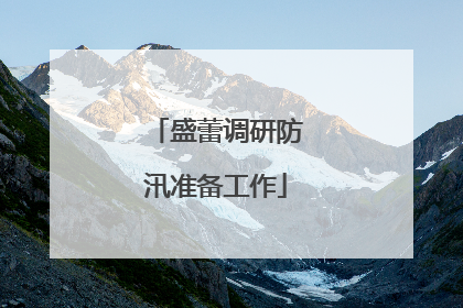 盛蕾调研防汛准备工作