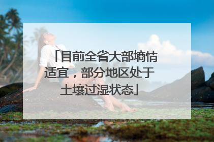 目前全省大部墒情适宜，部分地区处于土壤过湿状态