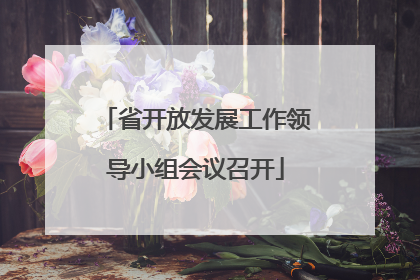 省开放发展工作领导小组会议召开