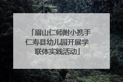 眉山仁师附小携手仁寿县幼儿园开展学联体实践活动