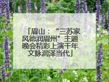 眉山：“三苏家风德润眉州”主题晚会精彩上演千年文脉润泽当代