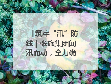 筑牢“汛”防线｜张旅集团闻汛而动，全力确保安全度汛