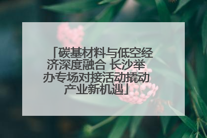 碳基材料与低空经济深度融合 长沙举办专场对接活动撬动产业新机遇