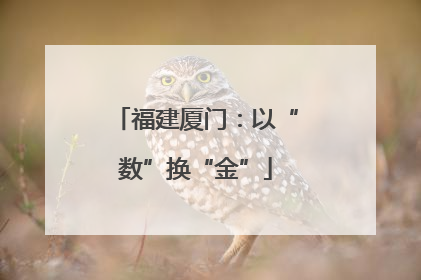 福建厦门：以“数”换“金”