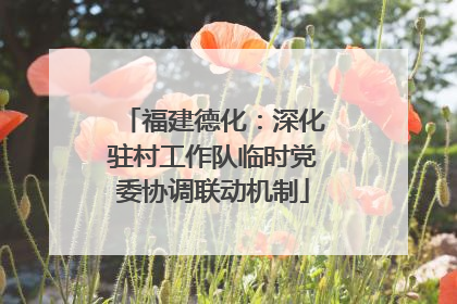 福建德化：深化驻村工作队临时党委协调联动机制