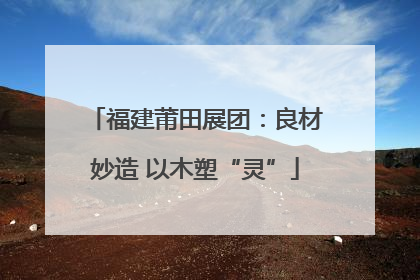 福建莆田展团：良材妙造 以木塑“灵”
