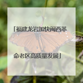 福建龙岩加快闽西革命老区高质量发展