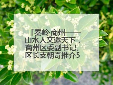 秦岭·商州——山水人文邀天下，商州区委副书记、区长支朝奇推介5个重点招商项目