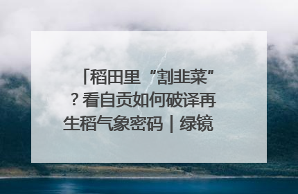 稻田里“割韭菜”？看自贡如何破译再生稻气象密码｜绿镜头·发现中国