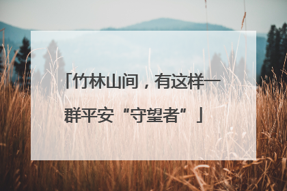 竹林山间，有这样一群平安“守望者”