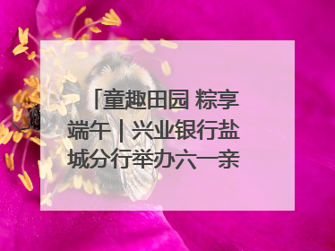 童趣田园 粽享端午｜兴业银行盐城分行举办六一亲子嘉年华活动