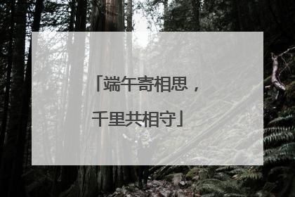 端午寄相思，千里共相守