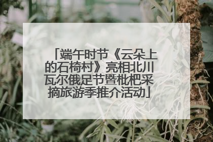 端午时节《云朵上的石椅村》亮相北川瓦尔俄足节暨枇杷采摘旅游季推介活动