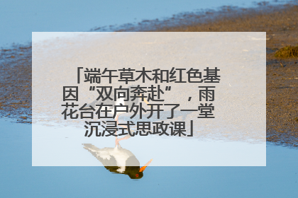 端午草木和红色基因“双向奔赴”，雨花台在户外开了一堂沉浸式思政课