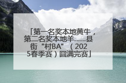 第一名奖本地黄牛，第二名奖本地羊……县街“村BA”（2025春季赛）圆满完赛