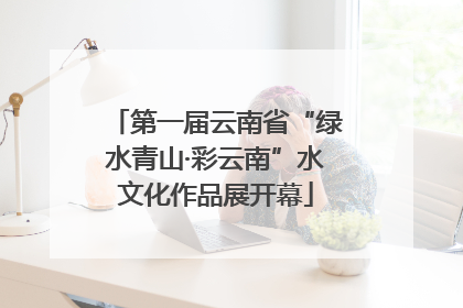 第一届云南省“绿水青山·彩云南”水文化作品展开幕