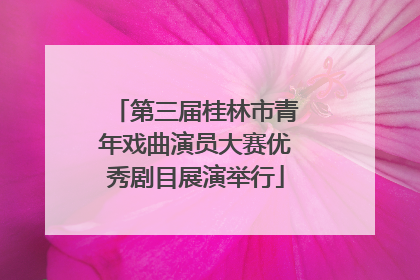 第三届桂林市青年戏曲演员大赛优秀剧目展演举行