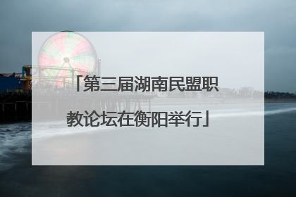 第三届湖南民盟职教论坛在衡阳举行