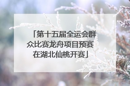 第十五届全运会群众比赛龙舟项目预赛在湖北仙桃开赛