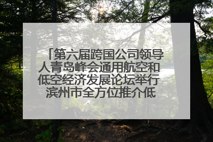 第六届跨国公司领导人青岛峰会通用航空和低空经济发展论坛举行 滨州市全方位推介低空经济发展优势