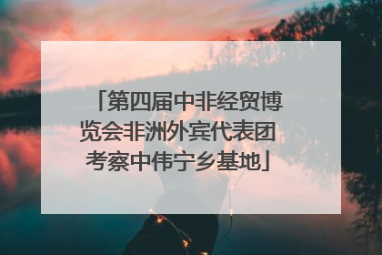 第四届中非经贸博览会非洲外宾代表团考察中伟宁乡基地