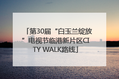 第30届“白玉兰绽放”电视节临港新片区CITY WALK路线