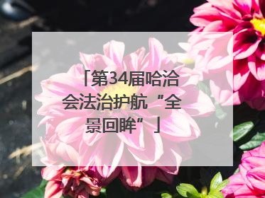 第34届哈洽会法治护航“全景回眸”